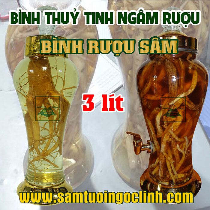 Bình Thủy Tinh Rượu Sâm 3 lít Kiểu Dáng Đẹp