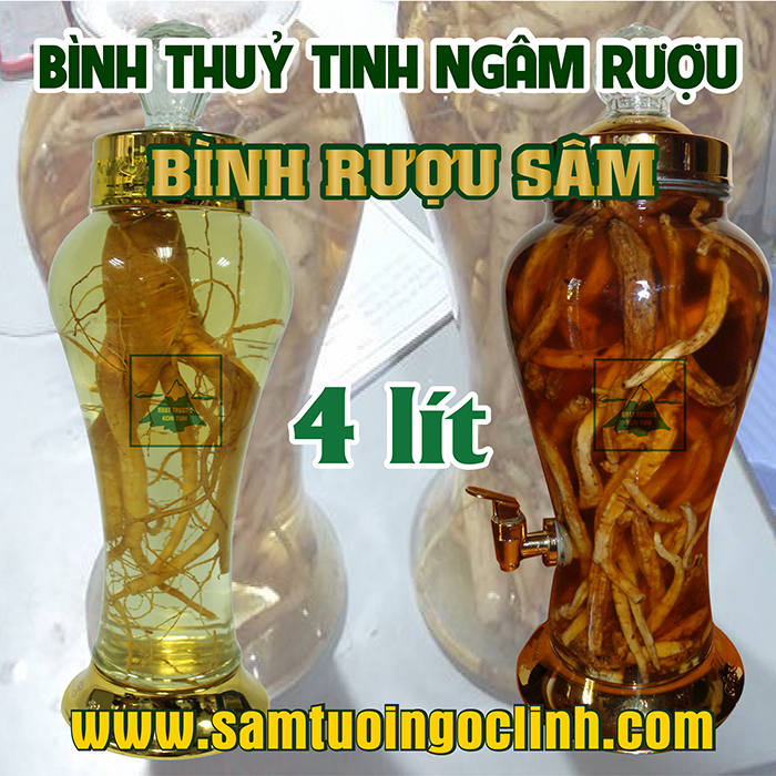 Bình Thủy Tinh Rượu Sâm 4 lít Kiểu Dáng Đẹp