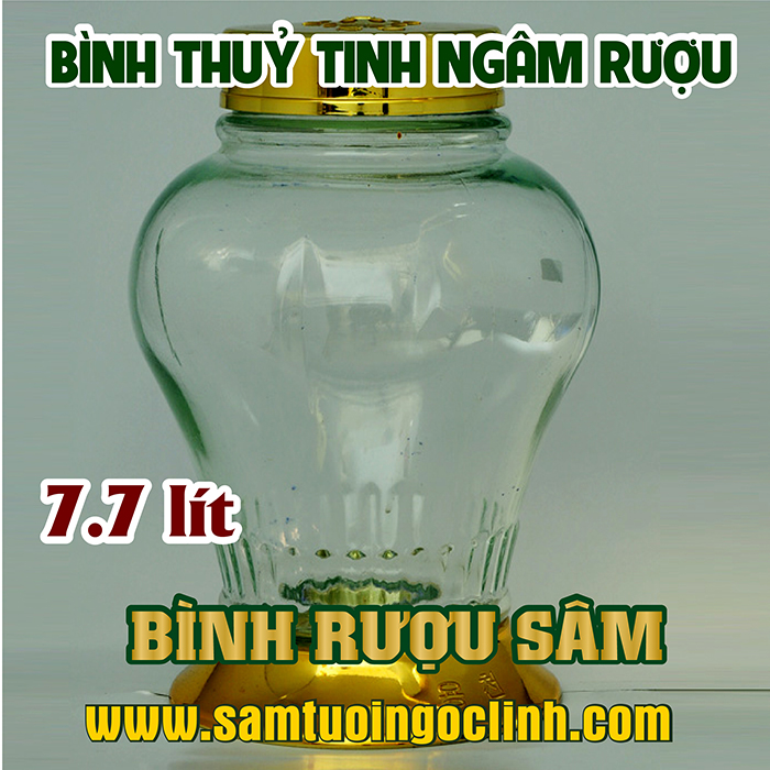 Bình Thủy Tinh Rượu Sâm 7.7 lít Kiểu Dáng Đẹp