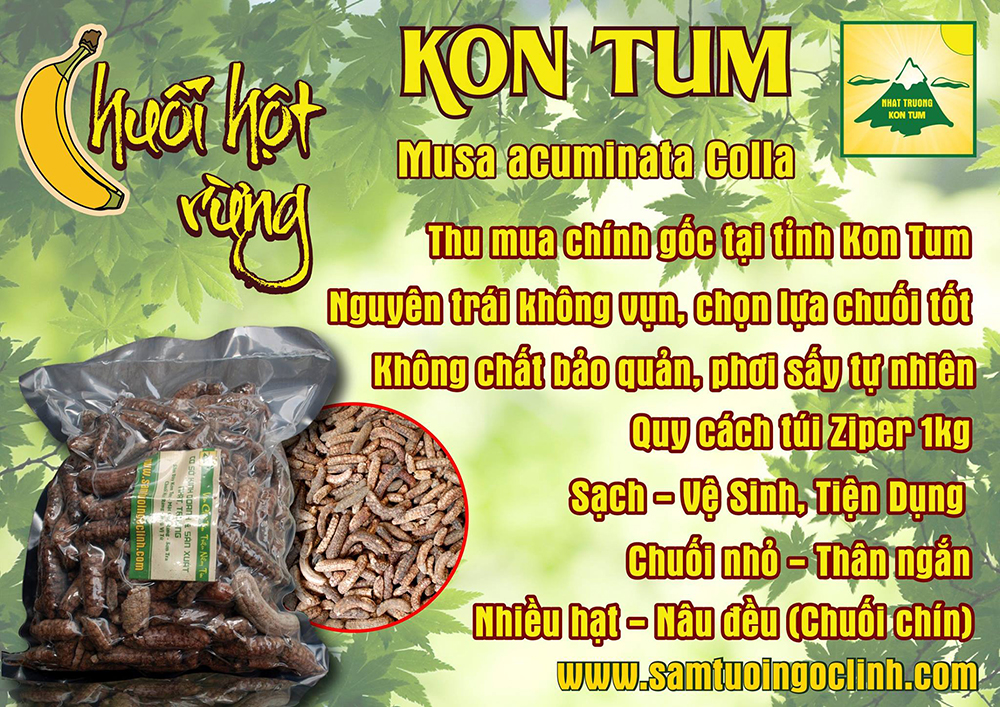 chuối hột rừng