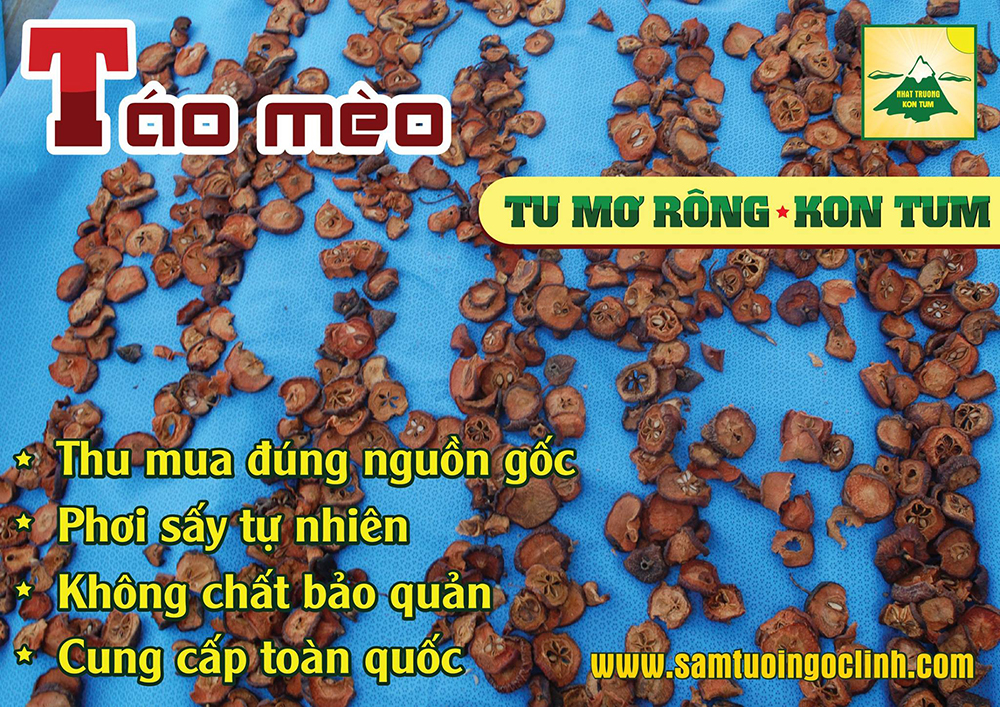 phơi sấy táo mèo