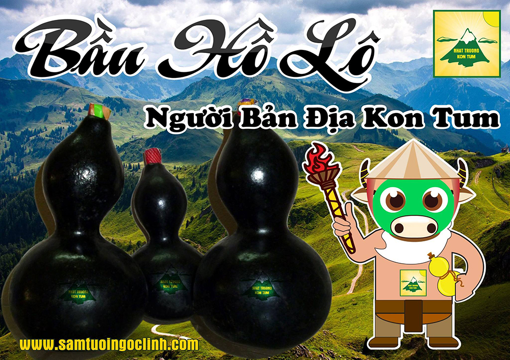 bầu hồ lô kon tum (1)