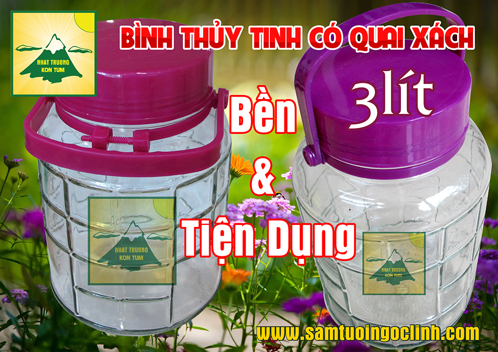 bình thủy tinh 3 lít (4)