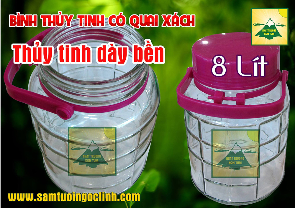 bình thủy tinh 8 lít 2