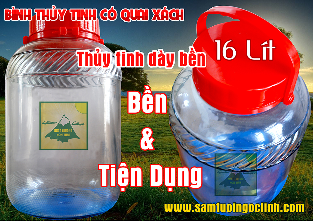 binh thuy tinh ngam ruou 16 lit 1