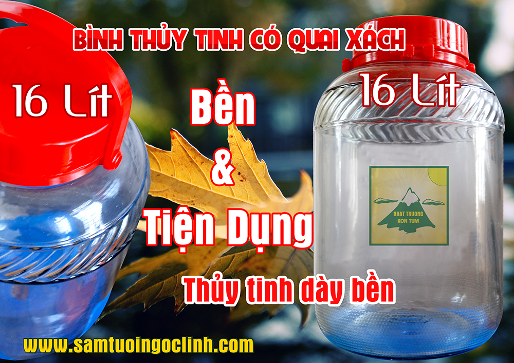 binh thuy tinh ngam ruou 16 lit 2