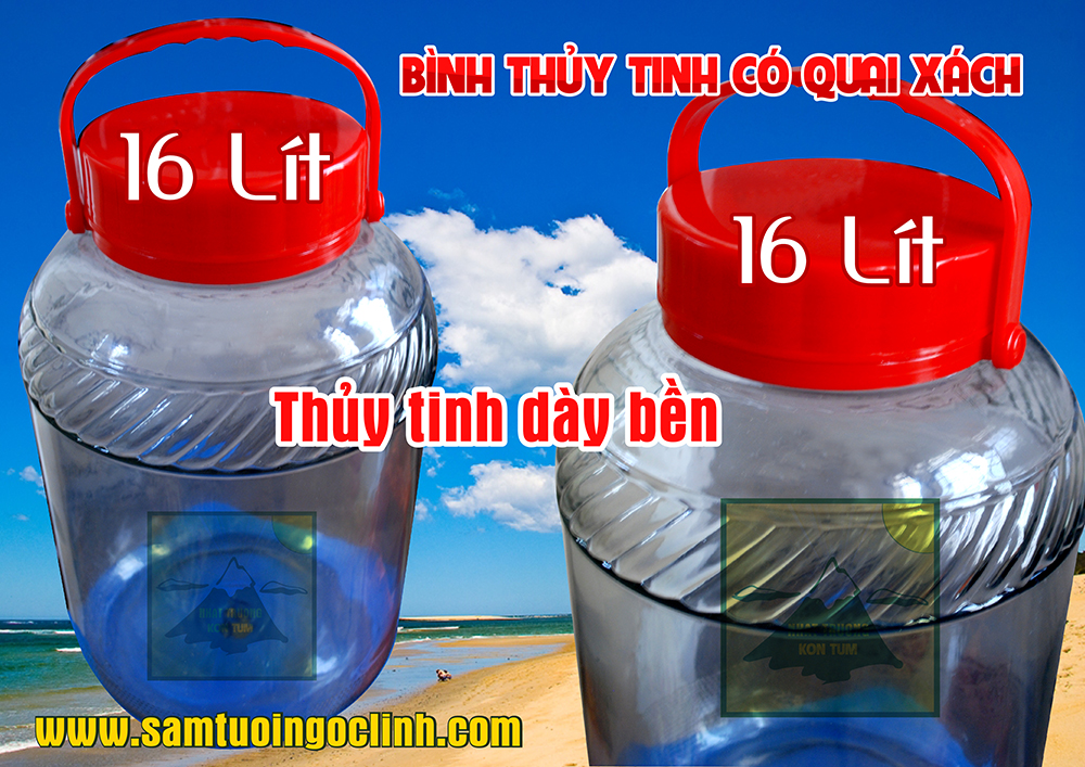 binh thuy tinh ngam ruou 16 lit 3