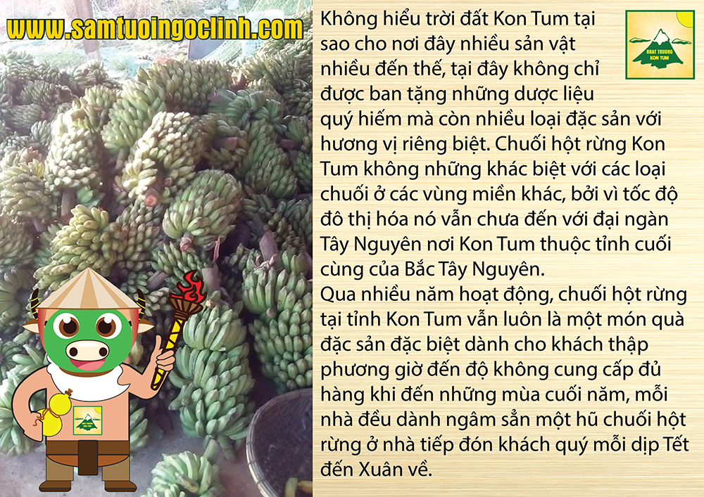 chuối hột rừng (1)