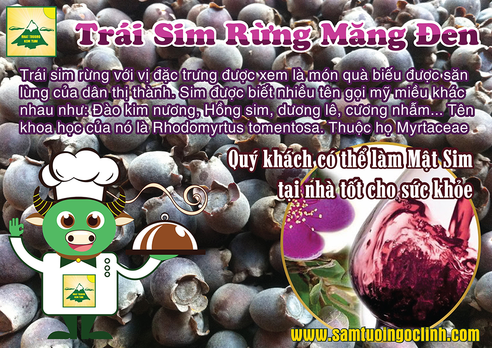 sim rừng măng đen kon tum (3)