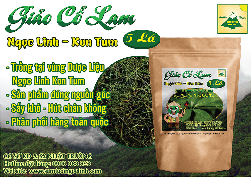 giảo cổ lam kon tum nhật trường ngọc linh chính gốc (1)