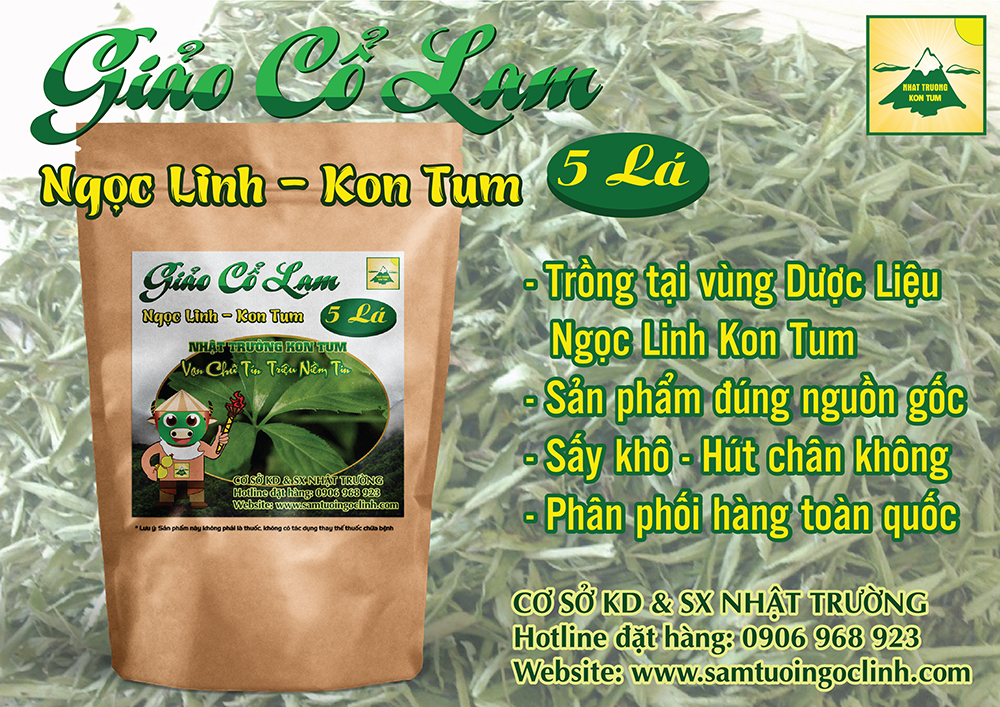 giảo cổ lam kon tum nhật trường ngọc linh chính gốc (2)