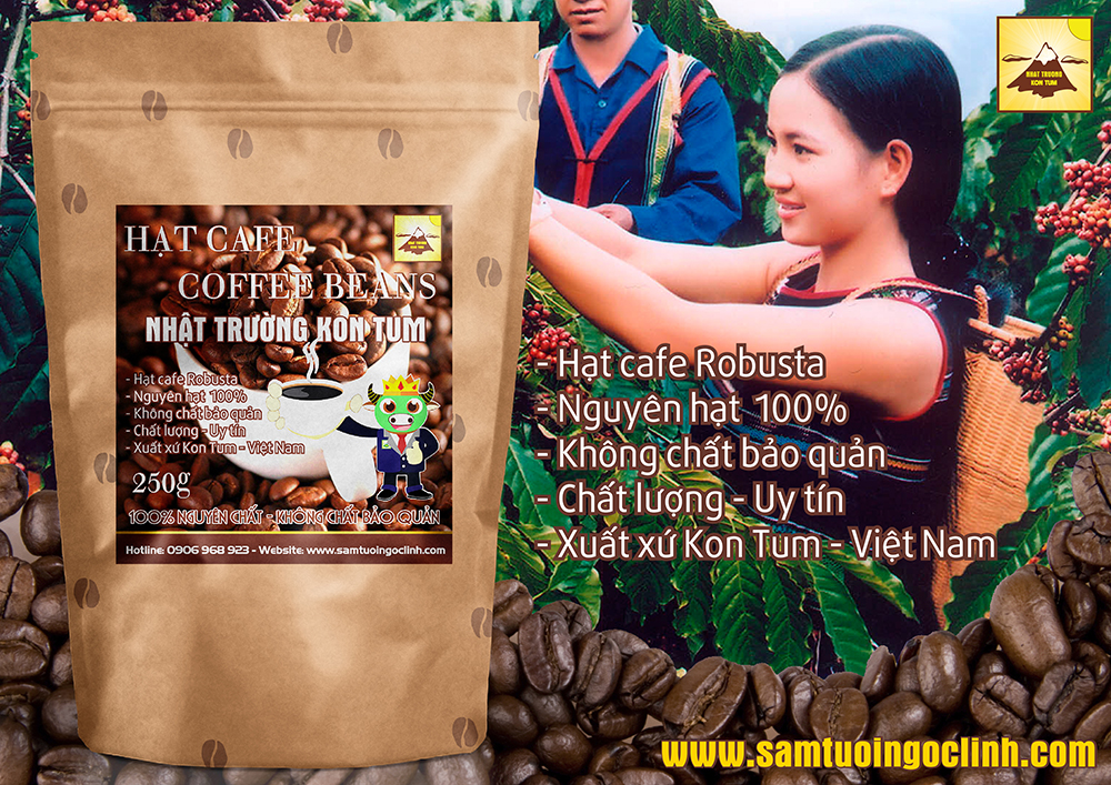 hat cafe robusta nguyen chat kon tum 1