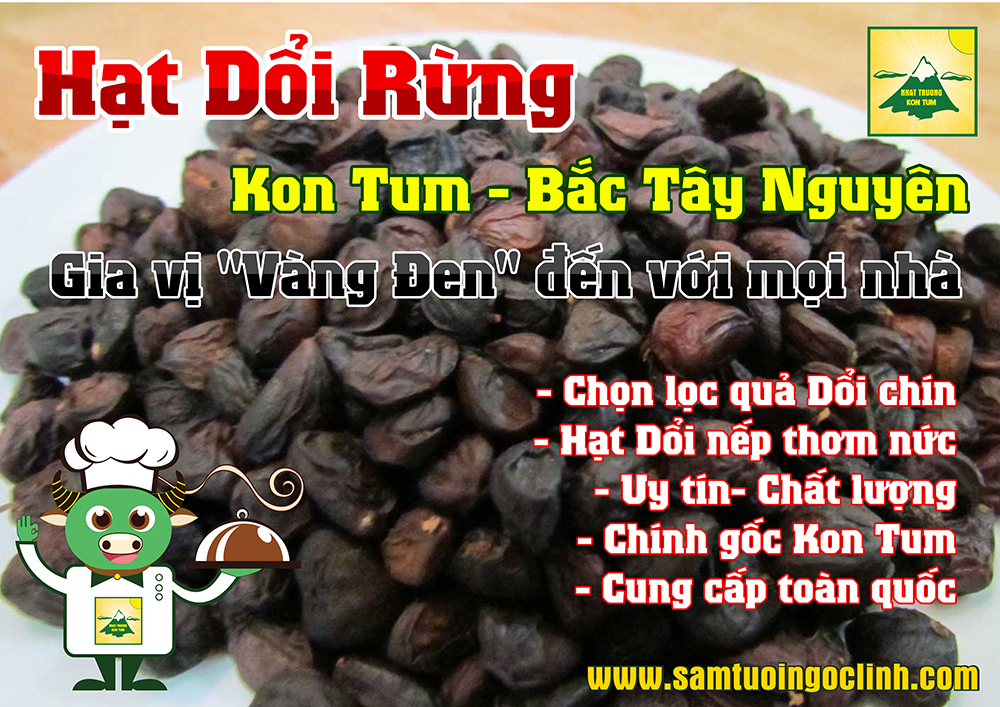 hạt dổi rừng tây nguyên kon tum nhật trường (4)