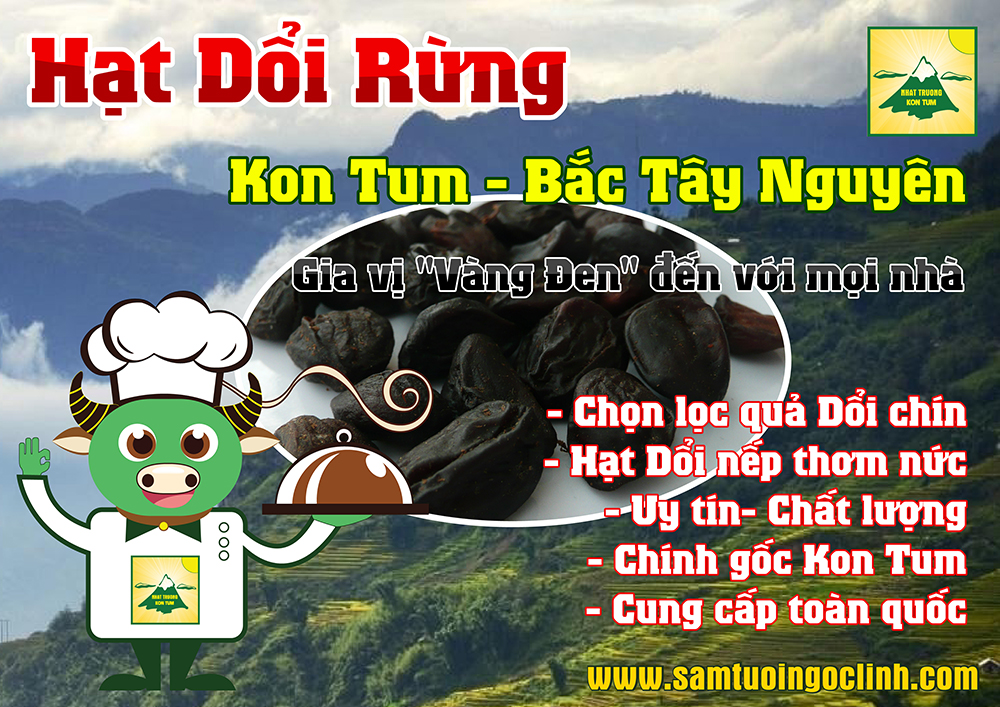 hạt dổi rừng tây nguyên kon tum nhật trường (5)