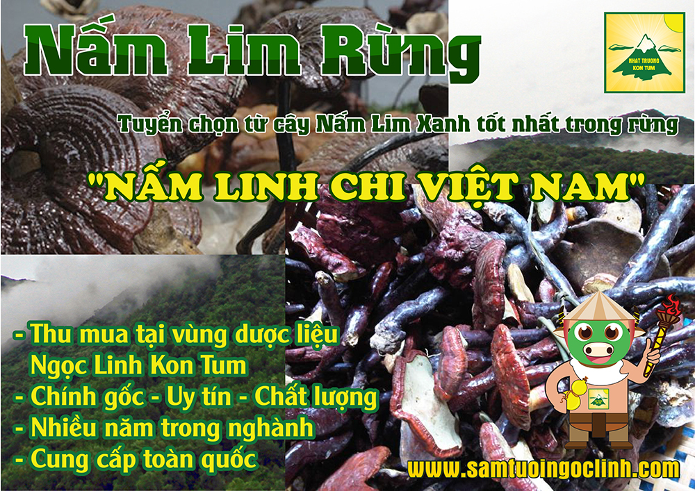 Nấm Linh Chi