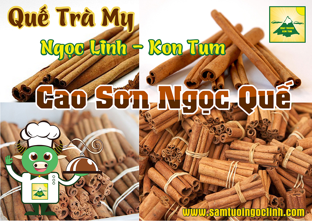 quế trà my ngọc linh kon tum nhật trường (3)