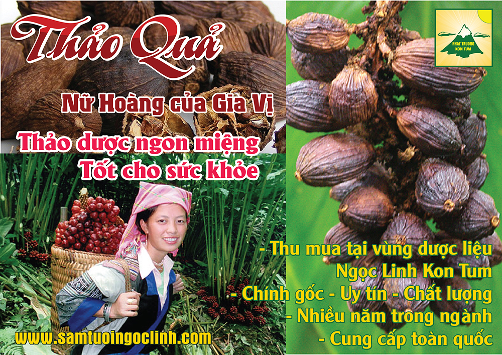 Thảo Quả