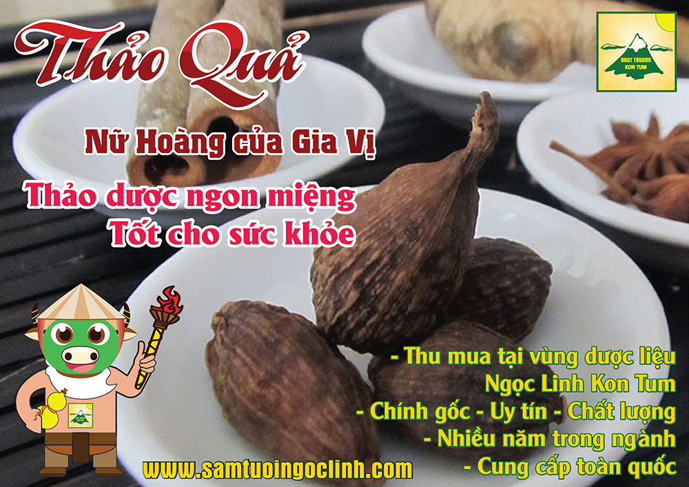 thảo quả ngọc linh kon tum nhật trường (4)