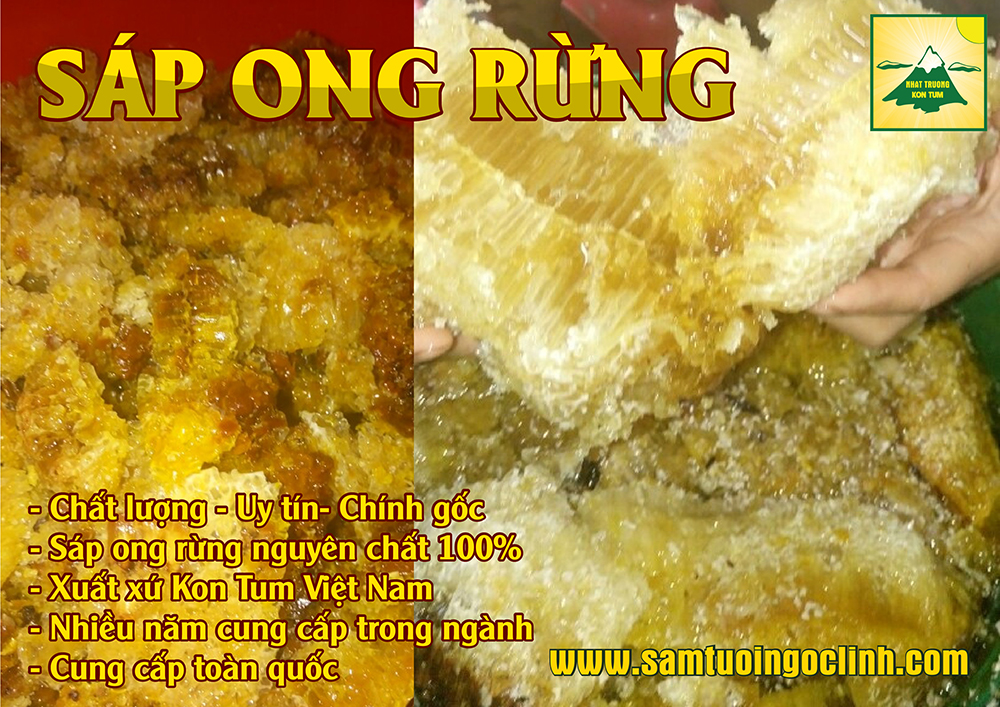 sap ong rung tu mo rong kon tum 1