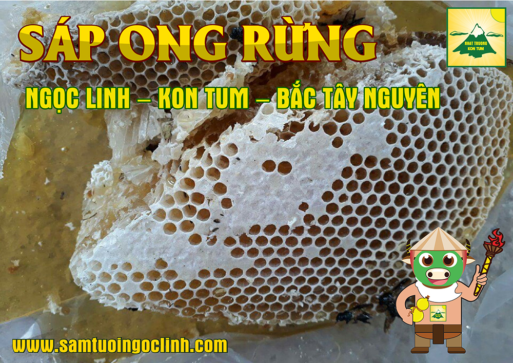 Sáp Ong Rừng Tu Mơ Rông Ngọc Linh Kon Tum