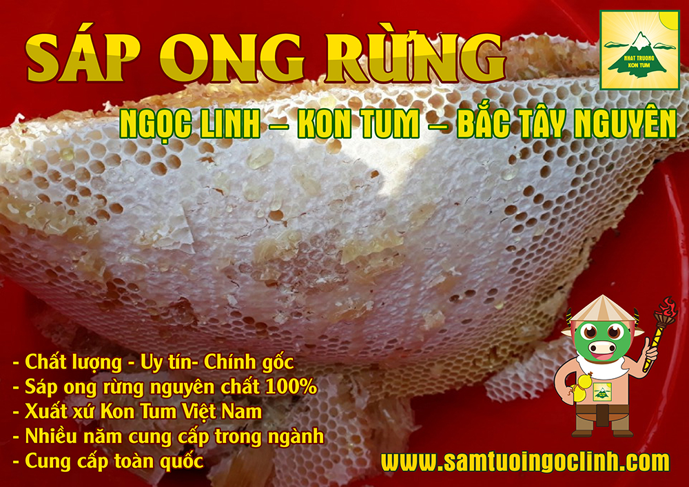 Sáp Ong Rừng Tu Mơ Rông Ngọc Linh Kon Tum