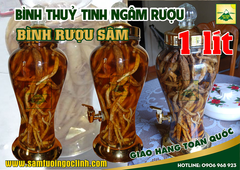 bình rượu sâm 1 lít (1)