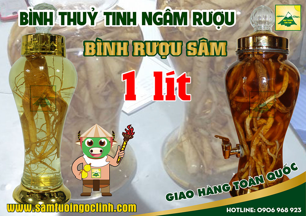 bình rượu sâm 1 lít (3)