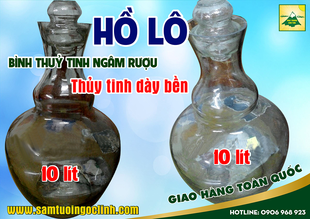 bình thuỷ tinh 10 lít (2)