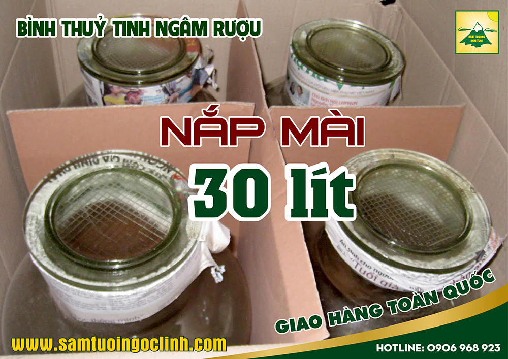 bình thuỷ tinh nắp mài 30 lít (4)
