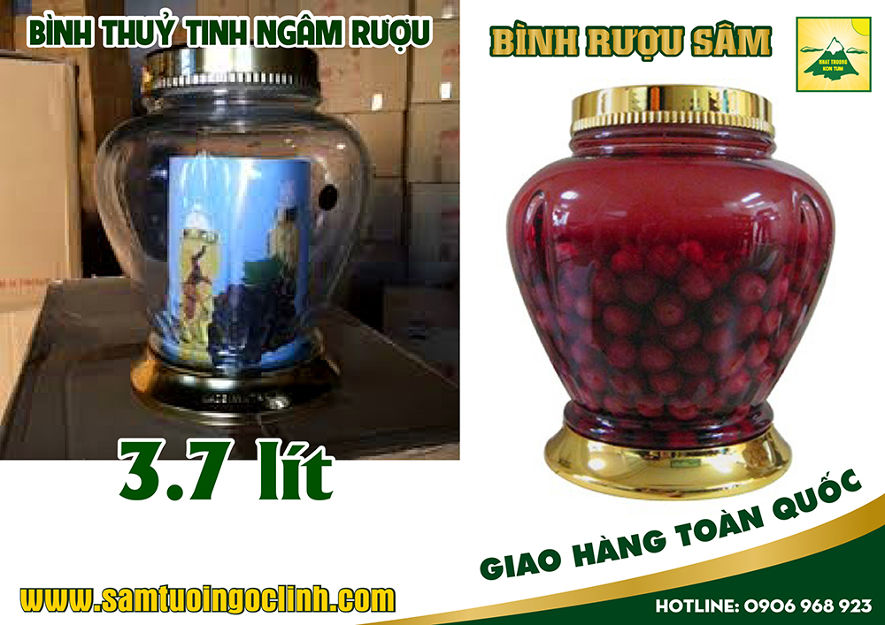 bình thuỷ tinh ngâm rượu 3 7 lít (3)