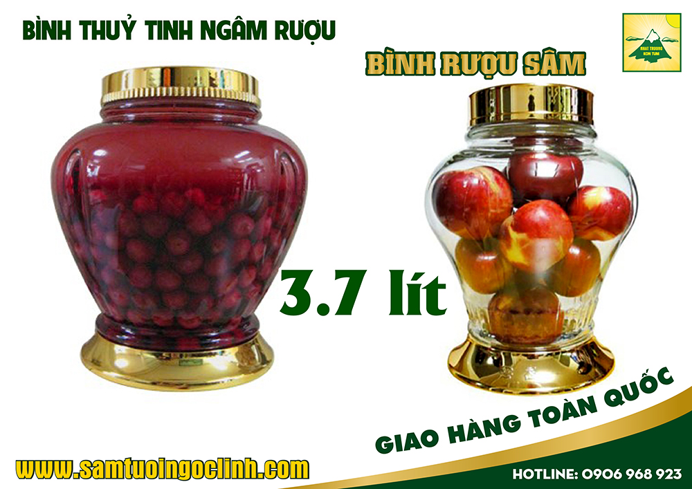 bình thuỷ tinh ngâm rượu 3 7 lít (6)