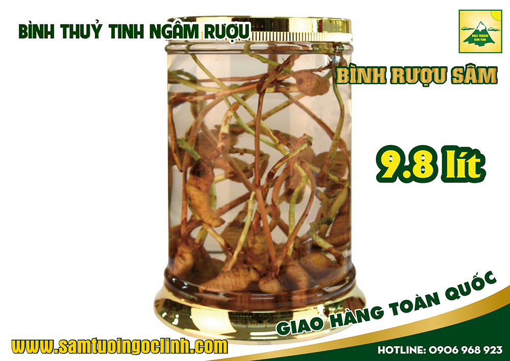 bình thuỷ tinh ngâm rượu 9 8 lít (1)