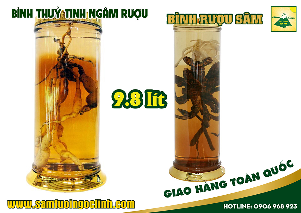 bình thuỷ tinh ngâm rượu 9 8 lít (2)