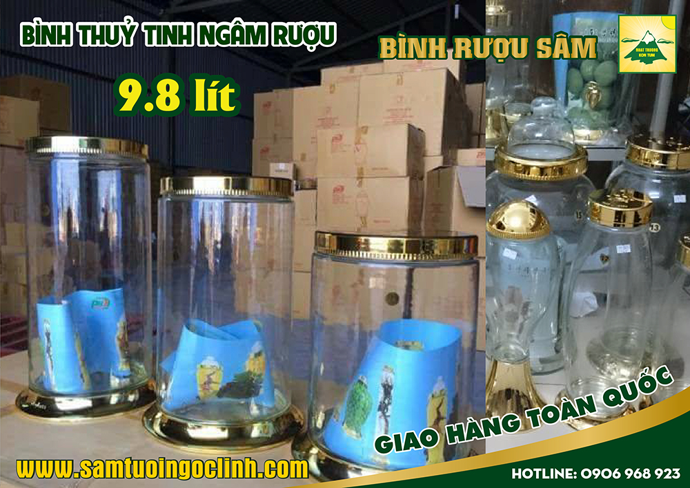 bình thuỷ tinh ngâm rượu 9 8 lít (3)