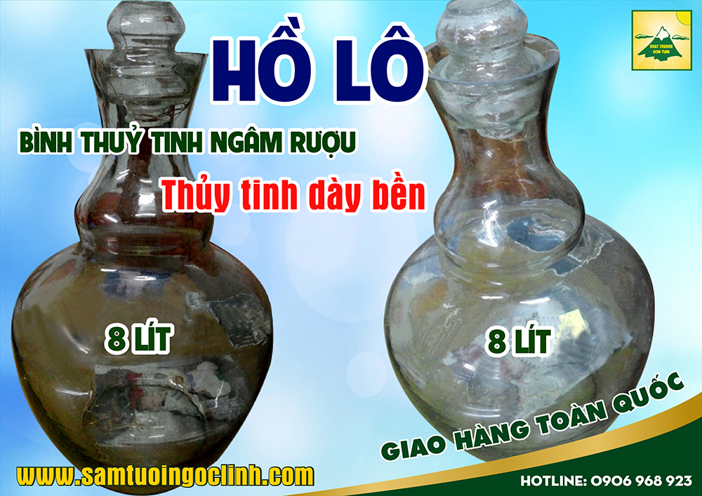 bình thuỷ tinh ngâm rượu hồ lô 8 lít (1)