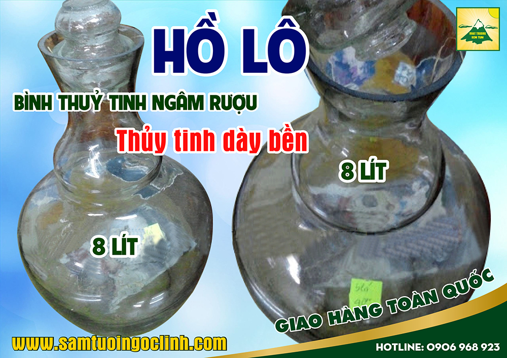 bình thuỷ tinh ngâm rượu hồ lô 8 lít (2)