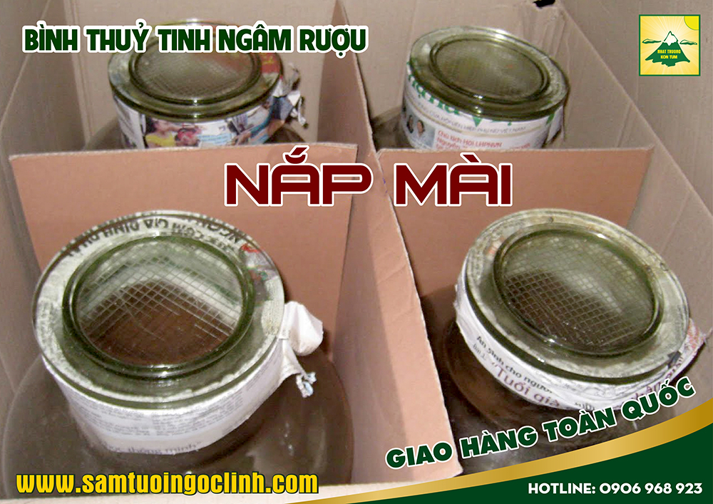 bình thuỷ tinh ngâm rượu nắp mài 15 lít (2)