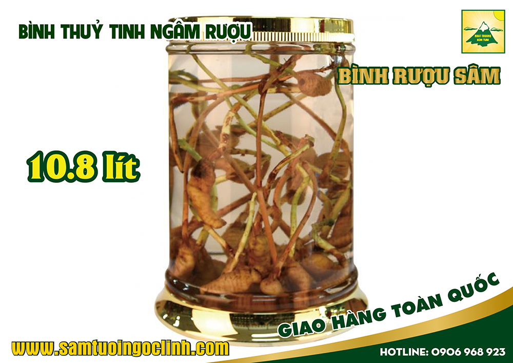 bình thuỷ tinh ngâm rượu sâm 10 8 lít (2)