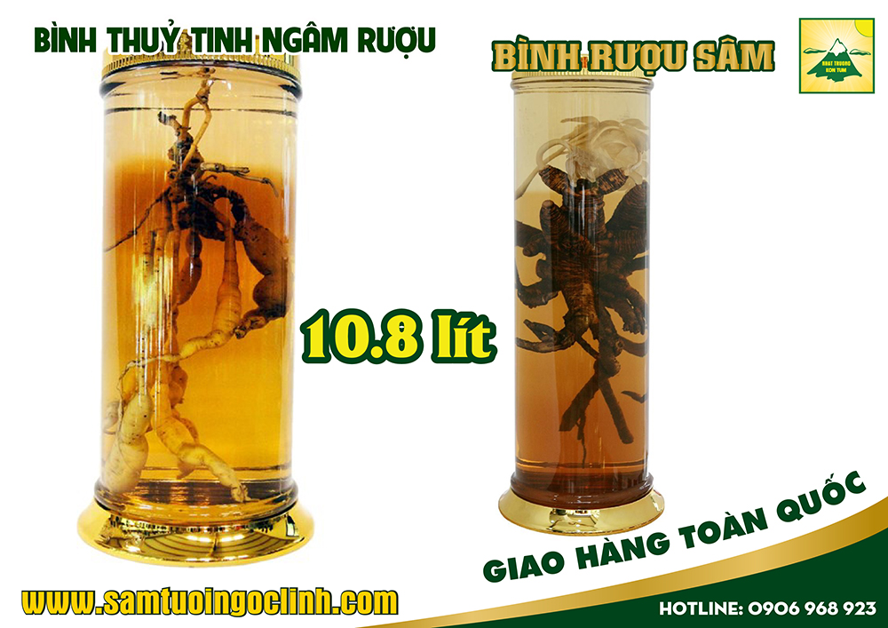 bình thuỷ tinh ngâm rượu sâm 10 8 lít (3)