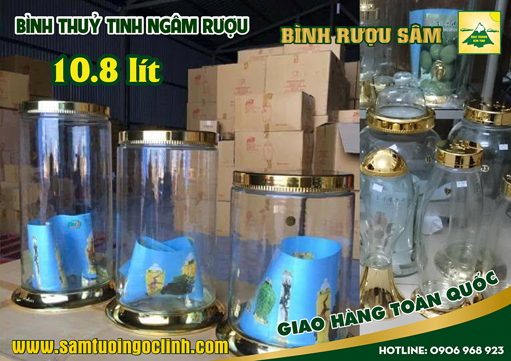 bình thuỷ tinh ngâm rượu sâm 10 8 lít (4)