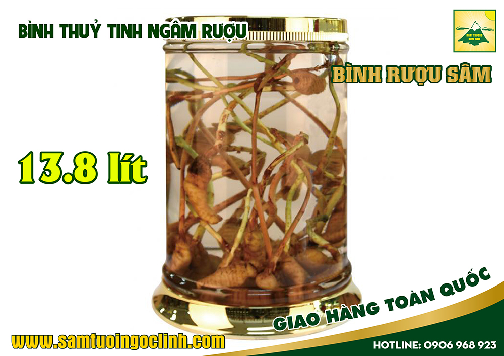 bình thuỷ tinh ngâm rượu sâm 13 8 lít (1)