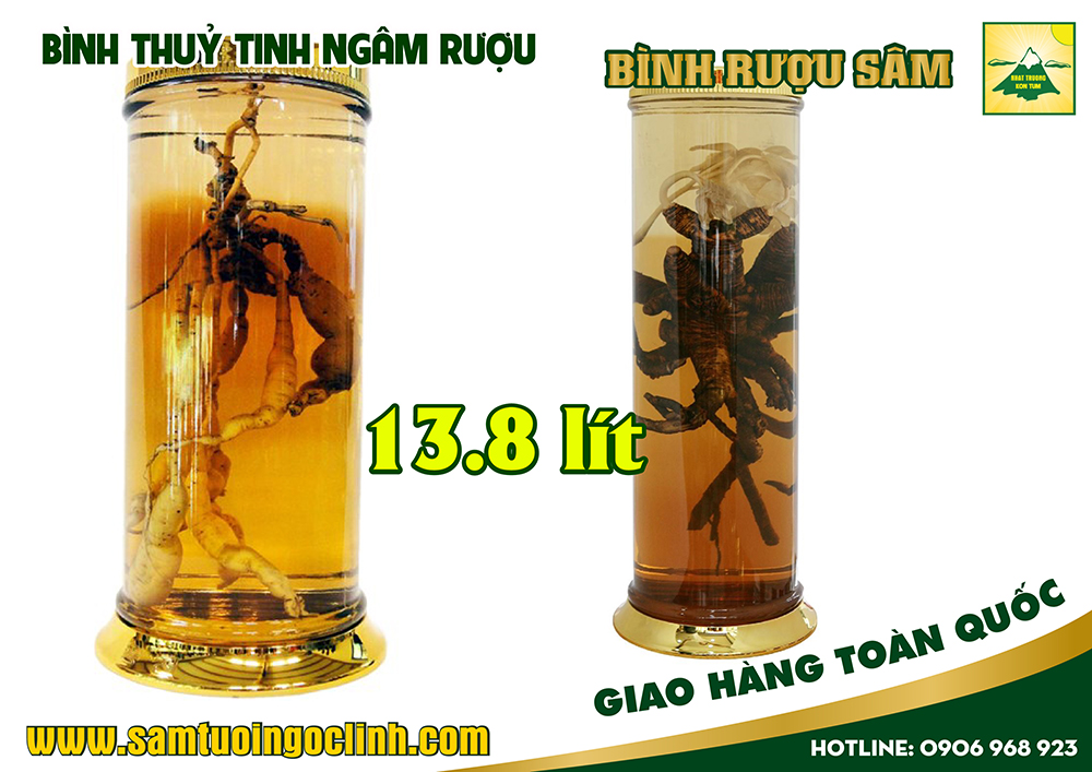 bình thuỷ tinh ngâm rượu sâm 13 8 lít (2)