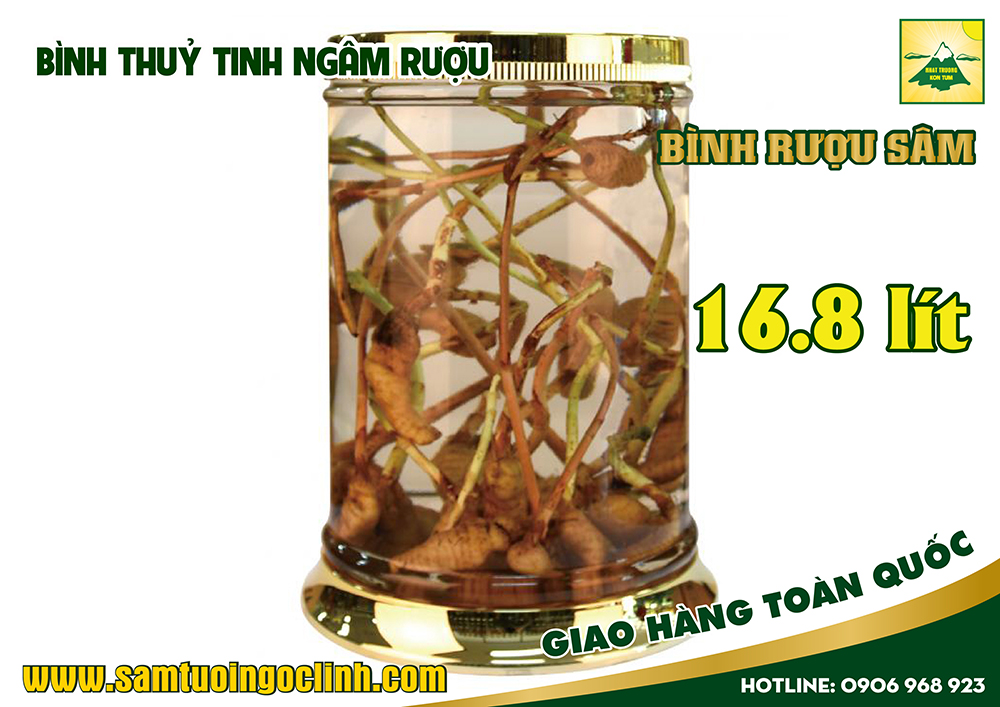 bình thuỷ tinh ngâm rượu sâm 16 8 lít (1)