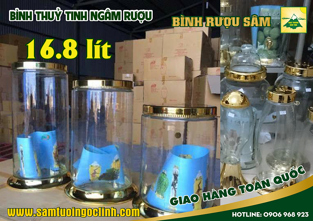 bình thuỷ tinh ngâm rượu sâm 16 8 lít (3)