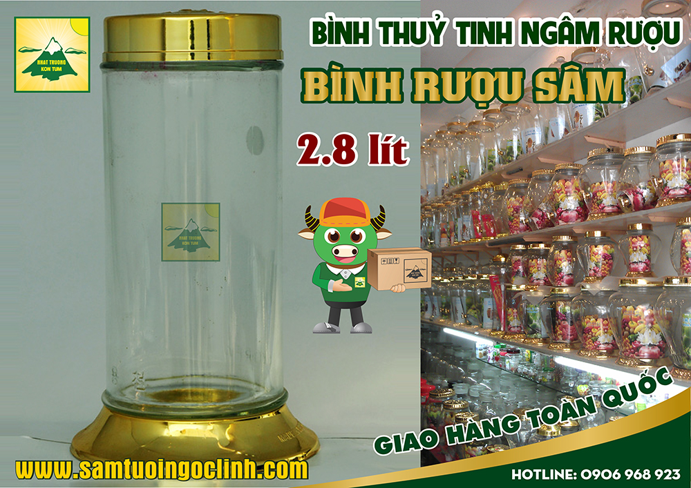 bình thuỷ tinh ngâm rượu sâm 2 8 lít (1)