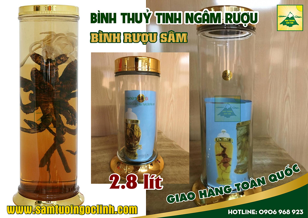 bình thuỷ tinh ngâm rượu sâm 2 8 lít (2)