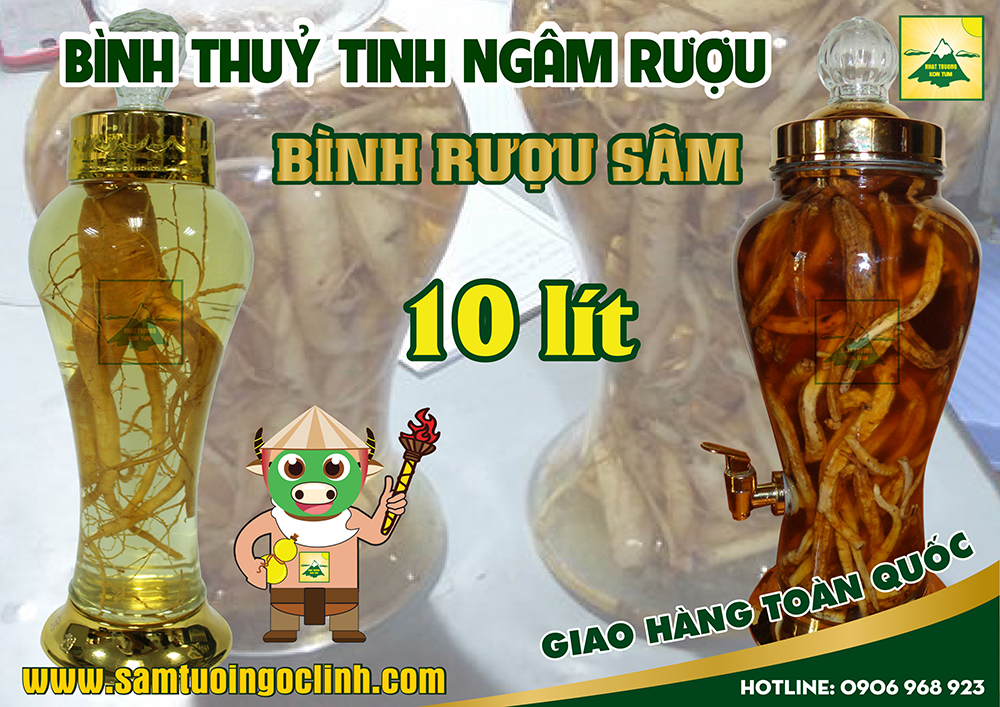 bình thuỷ tinh rượu sâm 10 lít (1)