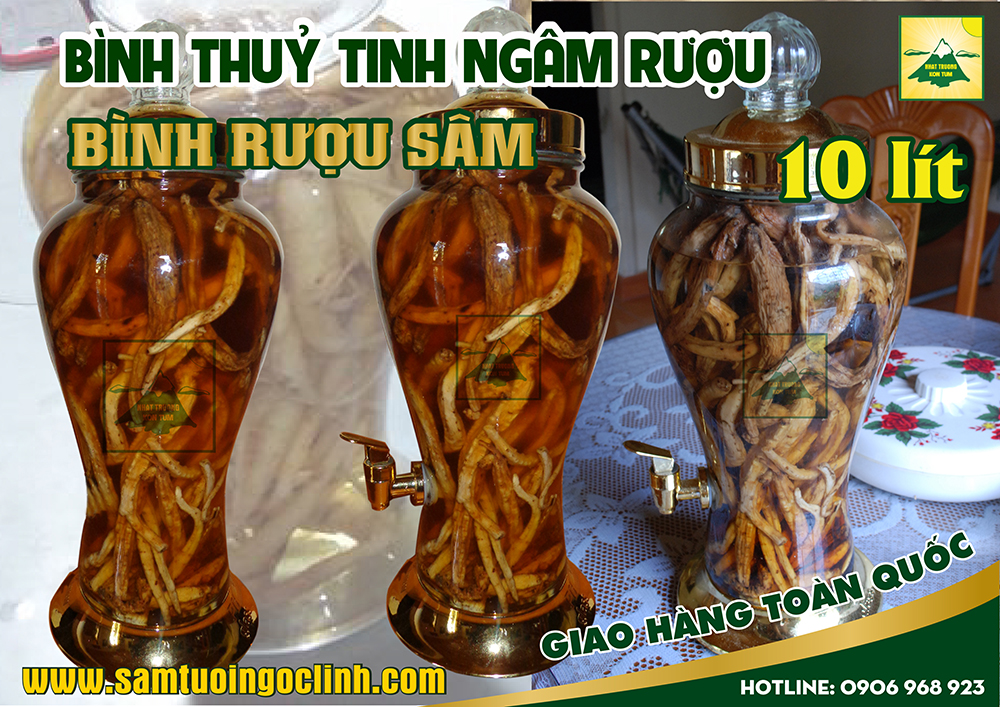 bình thuỷ tinh rượu sâm 10 lít (2)