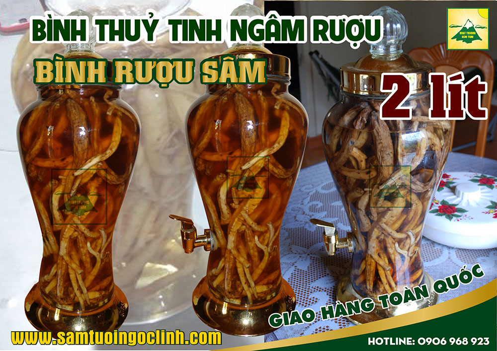 bình thuỷ tinh rượu sâm 2 lít (1)