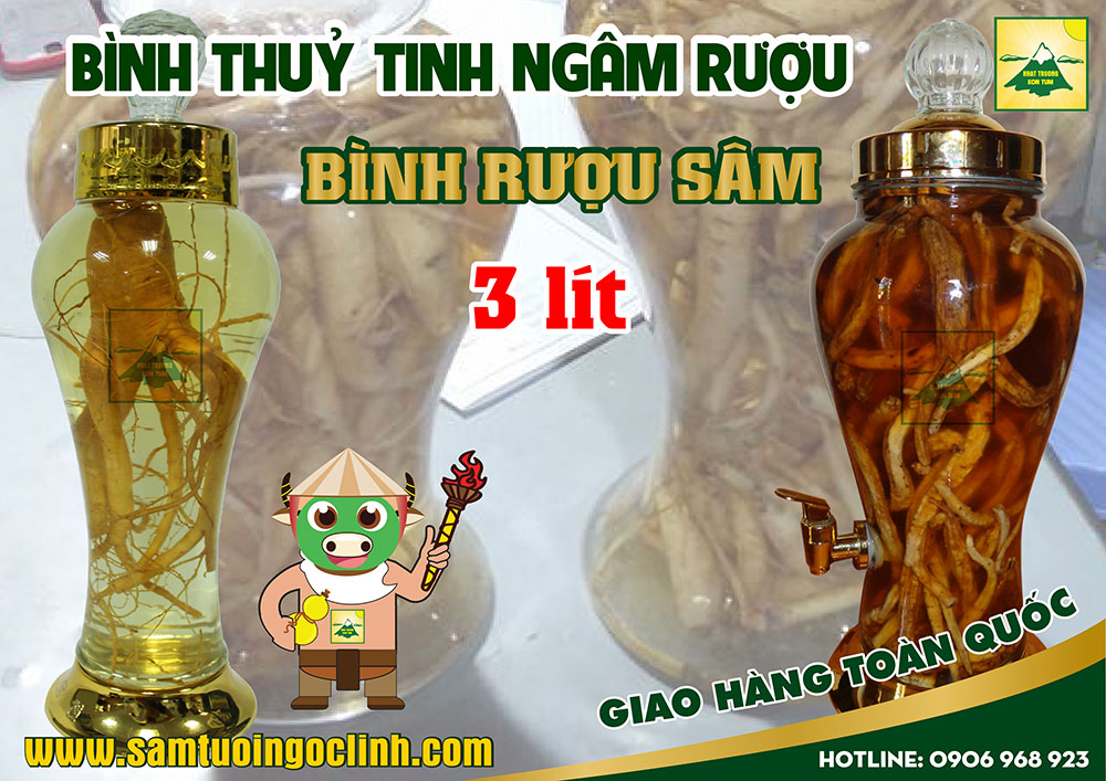 bình thuỷ tinh rượu sâm 3 lít (2)